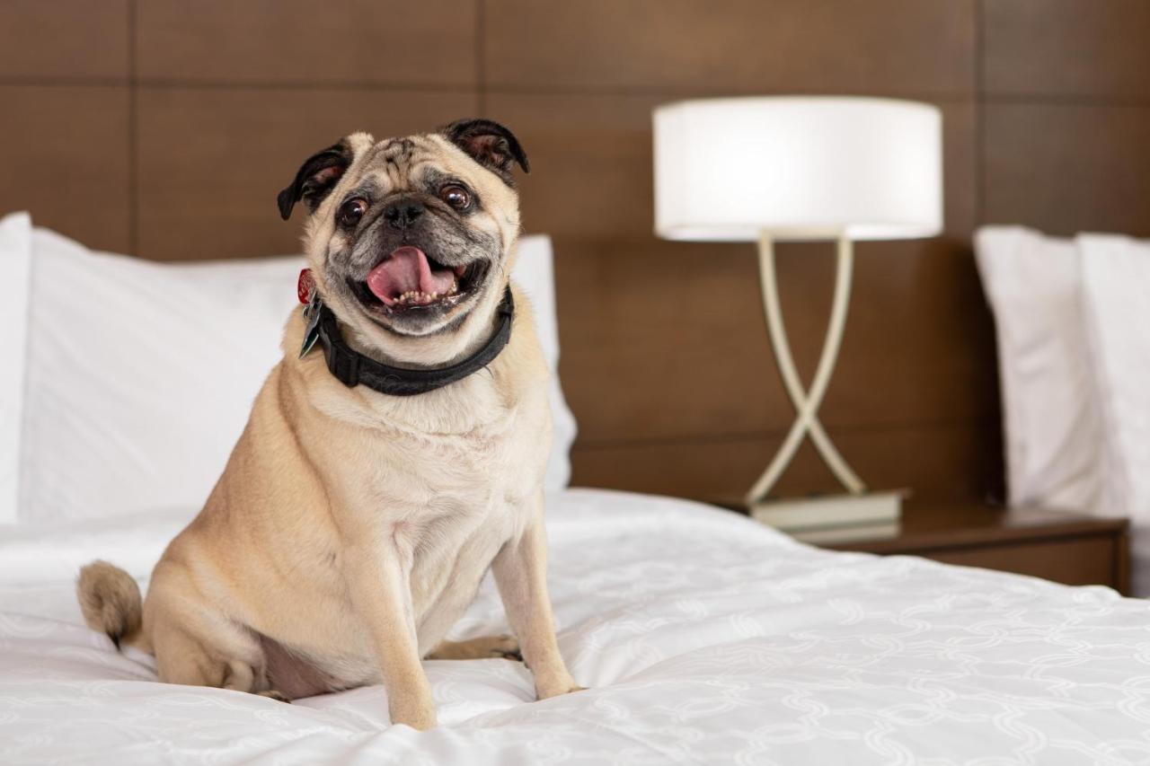 Staybridge Suites Charlottesville Airport By Ihg Extérieur photo